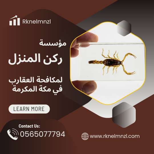 مكافحة العقارب بمكة